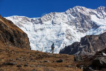 Hiker in Himalayas mountain. Nepal