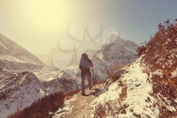 Hiker in Himalayas mountain. Nepal