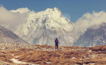 Hiker in Himalayas mountain. Nepal