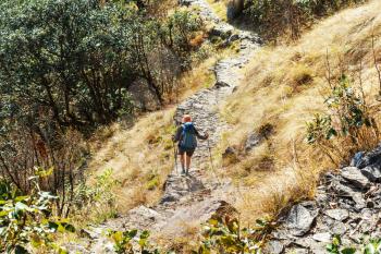 Hiker in Himalayan jungles, Nepal, Kanchenjunga region