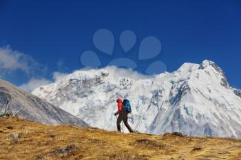 Climber in Himalayan mountain