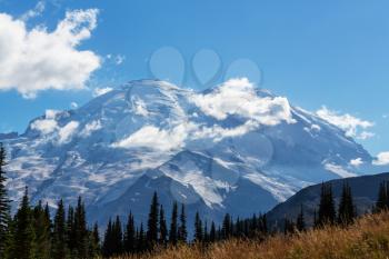 Mount Rainier national park, Washington