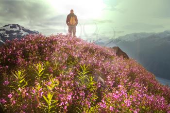 Hike around Salmon glacier,  Canada