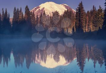 Mount Rainier national park, Washington