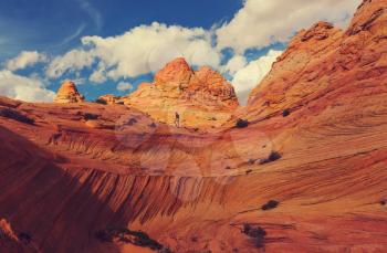 Coyote Buttes of the Vermillion Cliffs Wilderness Area, Utah and Arizona