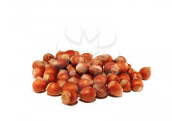 Small group of nuts on a white background