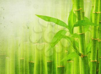 Royalty Free Photo of a Bamboo Background