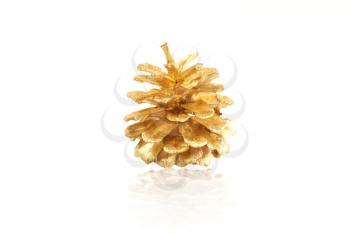 Royalty Free Photo of a Gold Pine Cone