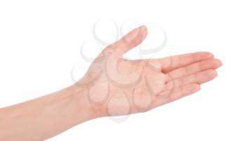 Empty open woman hand on white background