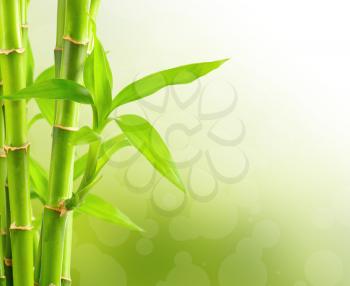 Bamboo background with copy space