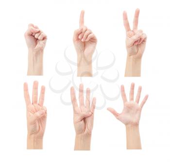 Counting woman hands (0 to 5) isolated on white background