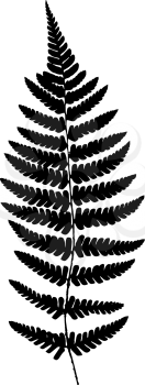 Fern frond black silhouette. Vector illustration. Forest concept.