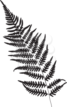 Fern leaf silhouette. Vector illustration