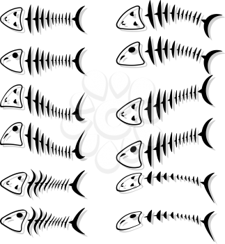 Royalty Free Clipart Image of a Set of Fish Skeletons