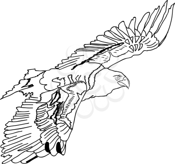 Royalty Free Clipart Image of an Eagle