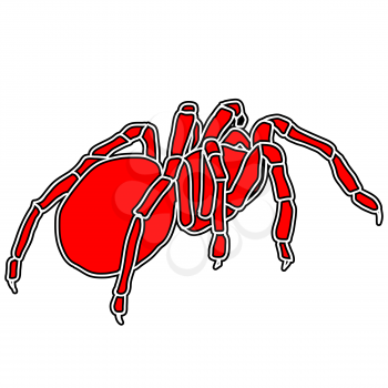 Royalty Free Clipart Image of a Tarantula