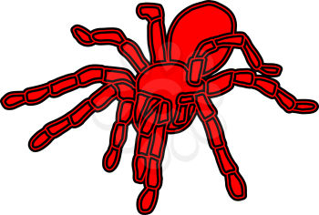 Royalty Free Clipart Image of a Tarantula