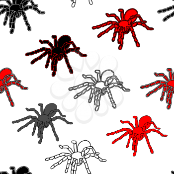 Royalty Free Clipart Image of a Tarantula Background