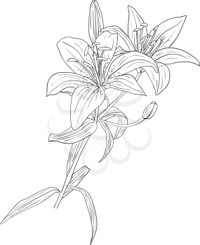Royalty Free Clipart Image of Flowers