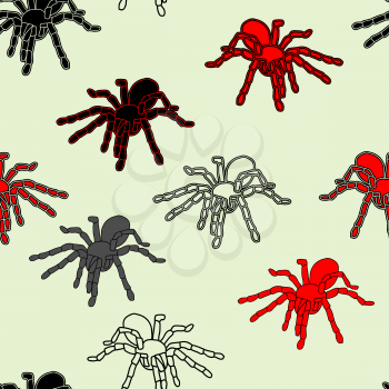 Royalty Free Clipart Image of Tarantulas