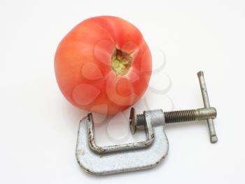 The red tomato and metal clamp lie nearby on a white background