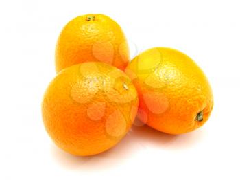 Three ripe oranges lie nearby on a white background