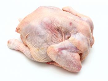 Carcass of the whole chicken ready to preparation on a white background