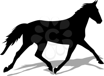 vector silhouette of horse