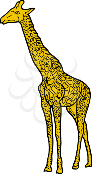 Sketch of a high African giraffe on a white background. Vector illustration.