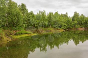 Spilling river in a green forest natural background.