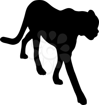Silhouette of the Lynx on a white background.