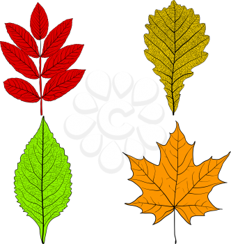 Set sketches silhouettes leaves on white background illustration.