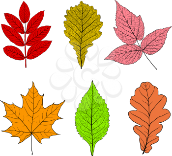 Set sketches silhouettes leaves on white background illustration.