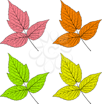 Set sketches silhouettes leaves on white background illustration.