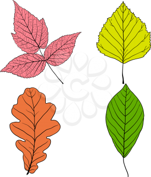 Set sketches silhouettes leaves on white background illustration.