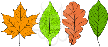 Set sketches silhouettes leaves on white background illustration.