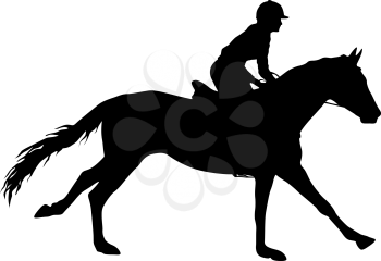 Silhouette of horse and jockey on white background.