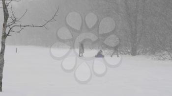 Parents roll children in the winter in a blizzard on the tubing.