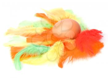 Egg and feather isolated on white background. Easter decor.