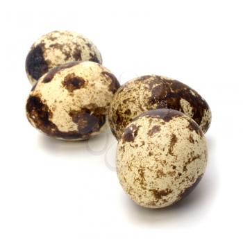 quail eggs isolated on white background close up