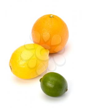 Citrus fruits isolated on white background