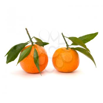 Tangerines  isolated on white background