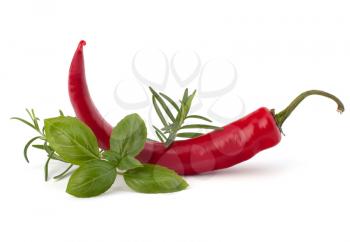 Chili pepper isolated on white background