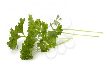 parsley  isolated on white background