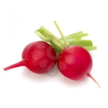 Small garden radish isolated on white background