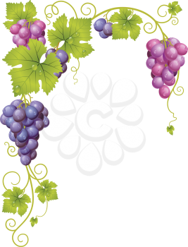 Royalty Free Clipart Image of a Grape Element