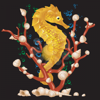 Royalty Free Clipart Image of a Seahorse