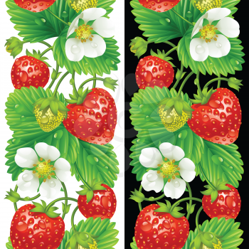 Vector strawberry seamless vertical pattern isolated on background