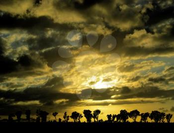 Royalty Free Photo of an Africa Sunset Sunrise with Trees