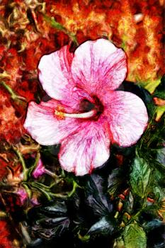 Royalty Free Photo of a Painting of a Pink Hibiscus Flower 